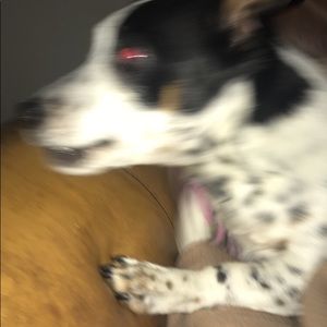 Meet your Posher, Hannah